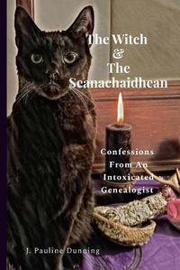 Cover image for The Witch & The Seanachaidhean