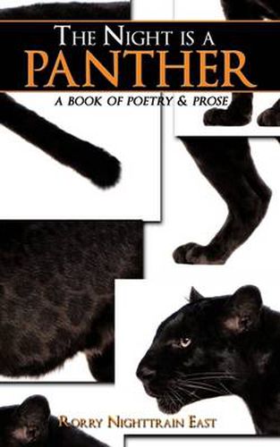 Cover image for The Night is a Panther: A Book of Poetry & Prose