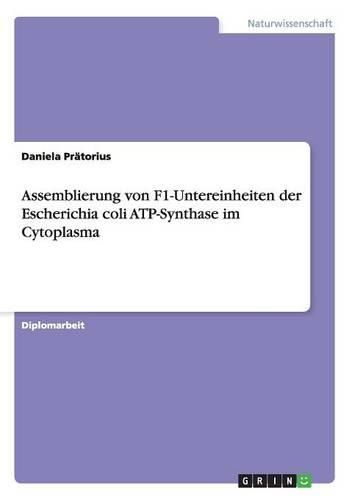 Cover image for Assemblierung Von F1-Untereinheiten Der Escherichia Coli Atp-Synthase Im Cytoplasma