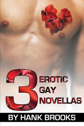 Cover image for 3 Erotic Gay Novellas