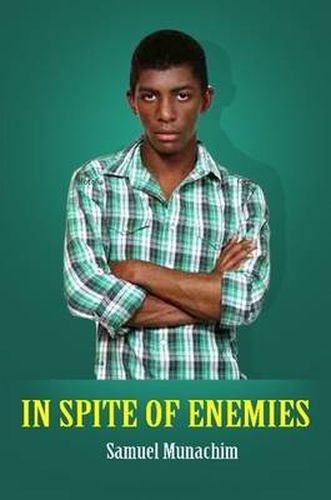 Cover image for In Spite of Enemies