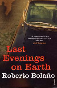 Cover image for Last Evenings On Earth