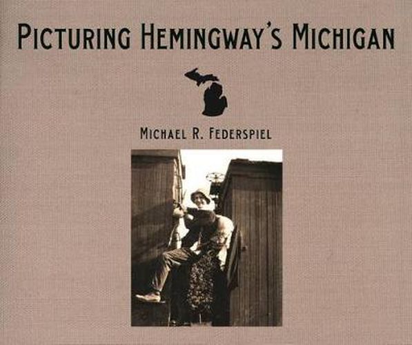 Cover image for Picturing Hemingway's Michigan
