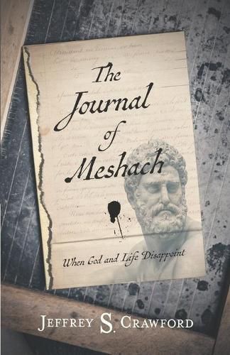 Cover image for The Journal of Meshach: When God and Life Disappoint