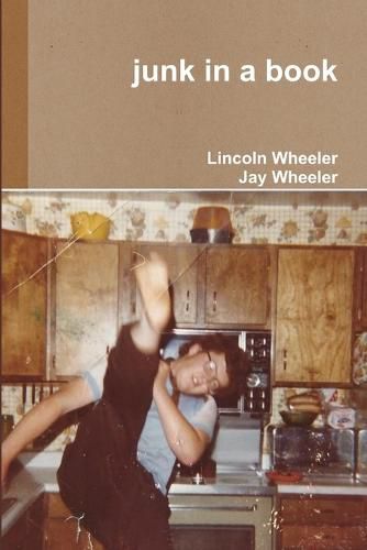 Cover image for junk in a book