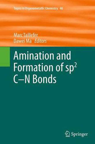 Cover image for Amination and Formation of sp2 C-N Bonds