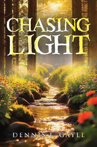 Cover image for Chasing Light