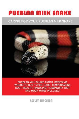 Pueblan Milk Snake: Pueblan Milk Snake facts, breeding, where to buy, types, care, temperament, cost, health, handling, husbandry, diet, and much more included! Caring For Your Pueblan Milk Snake