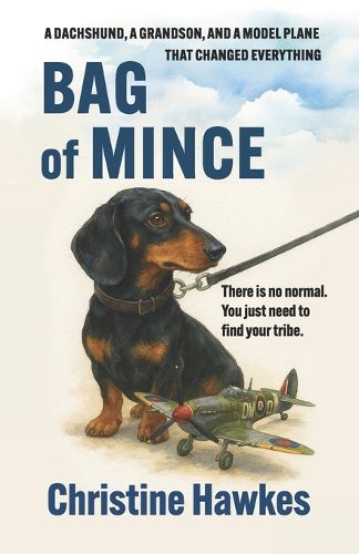 Cover image for Bag of Mince
