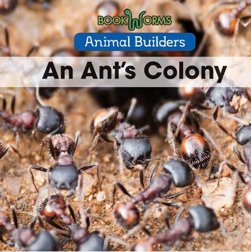 Cover image for An Ant's Colony