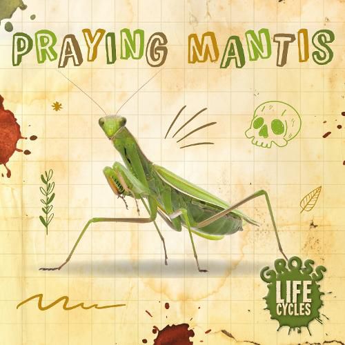 Cover image for Praying Mantis