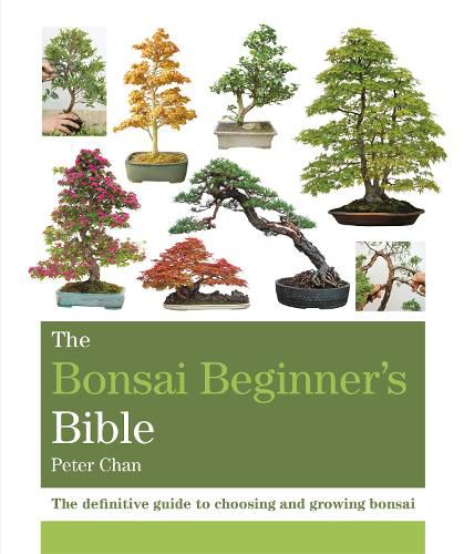 Cover image for The Bonsai Beginner's Bible: The definitive guide to choosing and growing bonsai