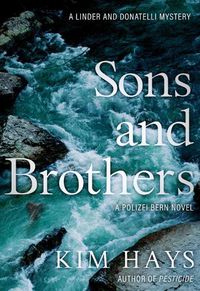 Cover image for Sons & Brothers