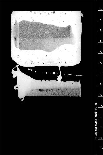 Cover image for Frederic Amat_Zootrop
