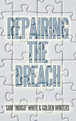 Cover image for Repairing the Breach