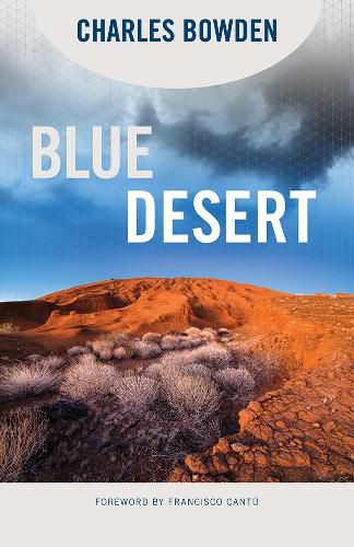 Cover image for Blue Desert
