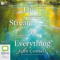 Cover image for The Stream of Everything