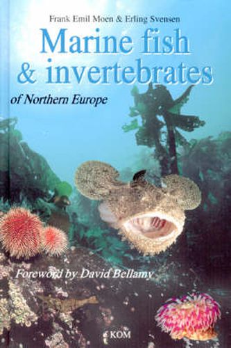 Cover image for Marine Fish & Invertebrates of Northern Europe