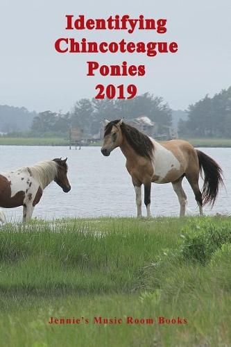 Cover image for Identifying Chincoteague Ponies 2019