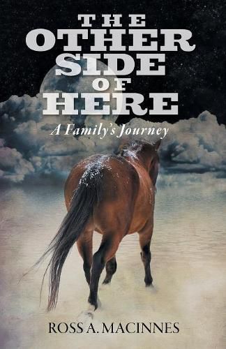 Cover image for The Other Side of Here: A Family's Journey