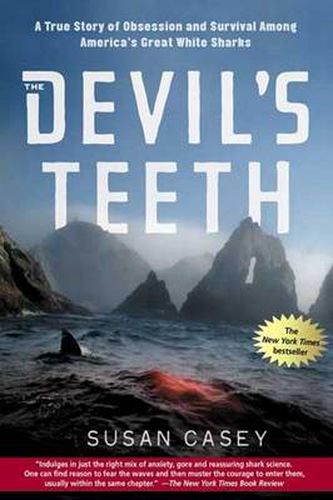 Cover image for Devil's Teeth