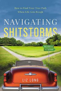 Cover image for Navigating Shitstorms