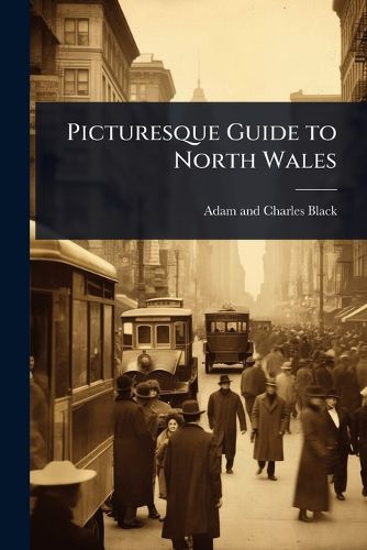 Cover image for Picturesque Guide to North Wales