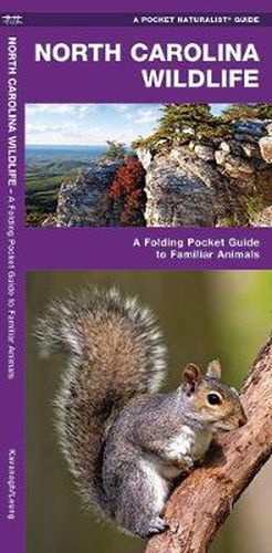 Cover image for North Carolina Wildlife: A Folding Pocket Guide to Familiar Species