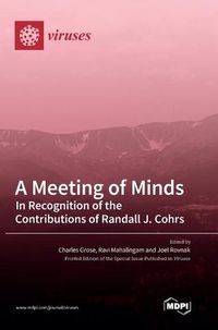 Cover image for A Meeting of Minds