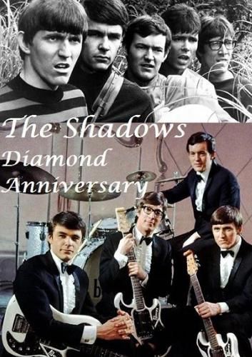 Cover image for The Shadows