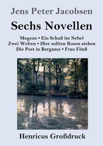 Sechs Novellen (Grossdruck)