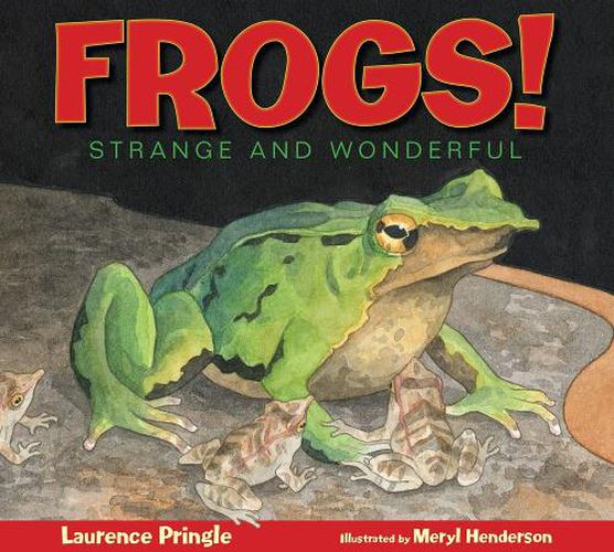 Cover image for Frogs!