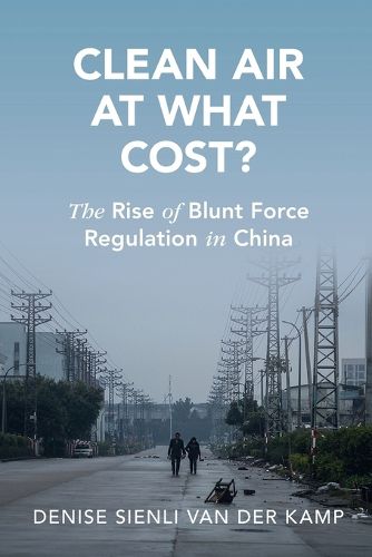 Cover image for Clean Air at What Cost?