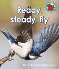 Cover image for Ready, steady, fly