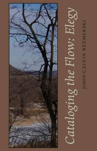 Cover image for Cataloging the Flow: Elegy