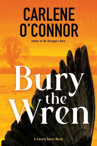 Cover image for Bury the Wren