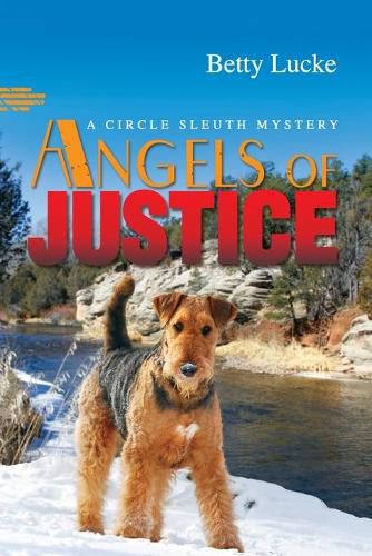 Cover image for Angels of Justice