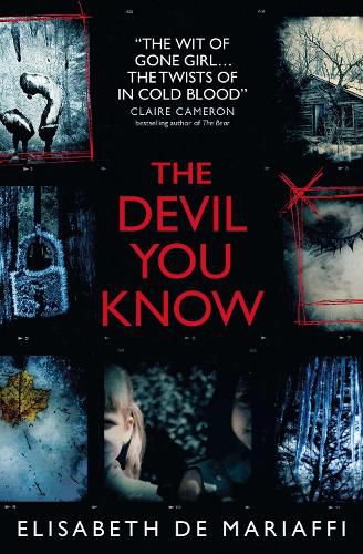 Cover image for The Devil You Know