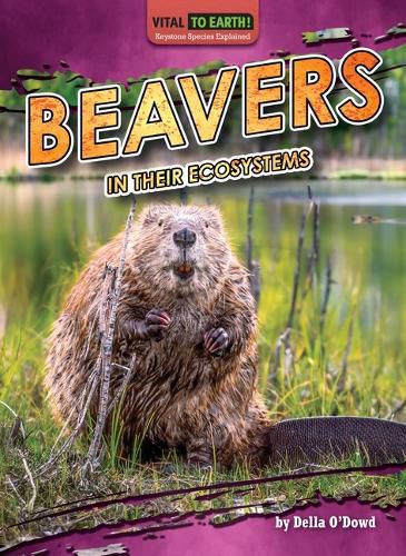 Cover image for Beavers in Their Ecosystems