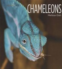 Cover image for Chameleons