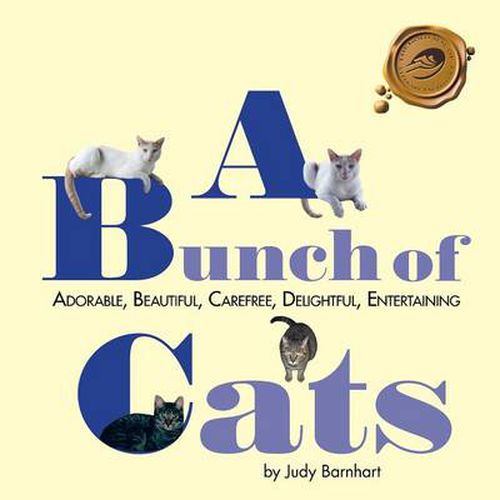 Cover image for A Bunch of Cats