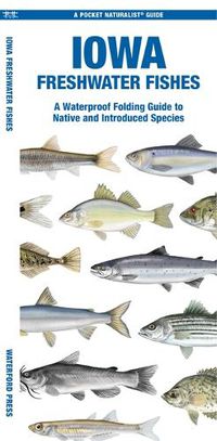 Cover image for Iowa Freshwater Fishes