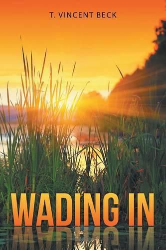 Cover image for Wading In