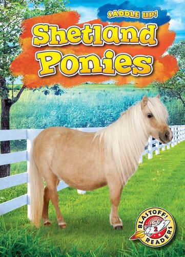 Cover image for Shetland Ponies