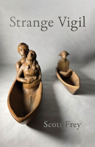 Cover image for Strange Vigil