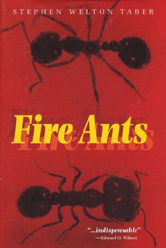 Fire Ants