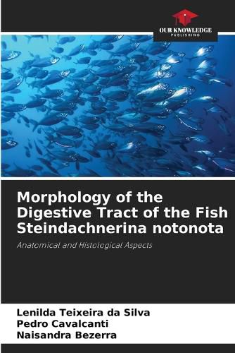 Cover image for Morphology of the Digestive Tract of the Fish Steindachnerina notonota