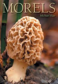 Cover image for Morels