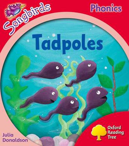 Cover image for Oxford Reading Tree Songbirds Phonics: Level 4: Tadpoles