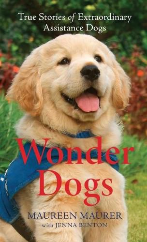 Cover image for Wonder Dogs